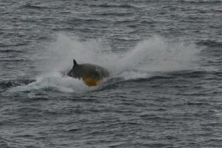 031231_eidp_033.jpg (36692 Byte)