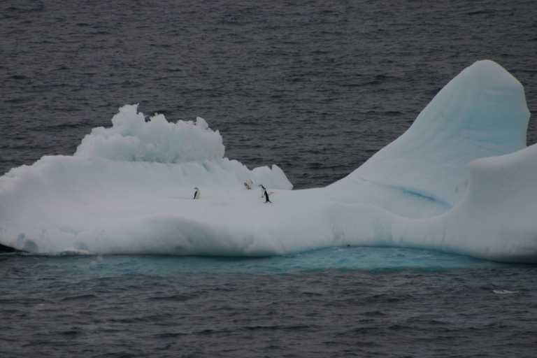 031231_eidp_035.jpg (27883 Byte)