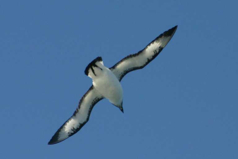 040101_D_Pa_003.JPG (10997 Byte)