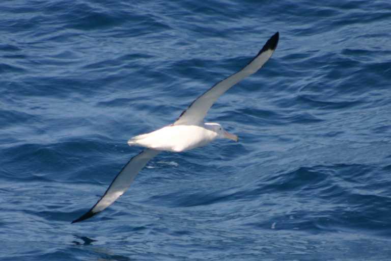 040101_D_Pa_013.JPG (33668 Byte)