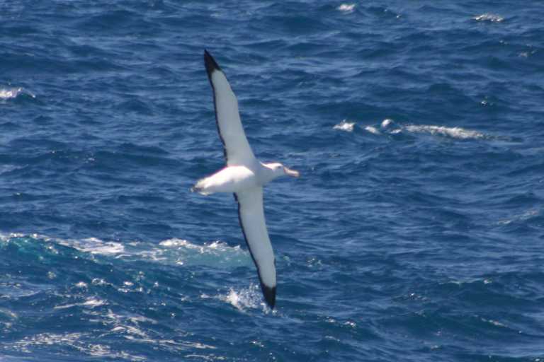 040101_D_Pa_018.JPG (37492 Byte)