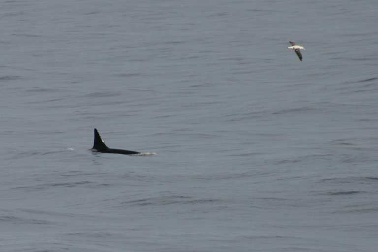 040101_D_Pa_042.JPG (15920 Byte)