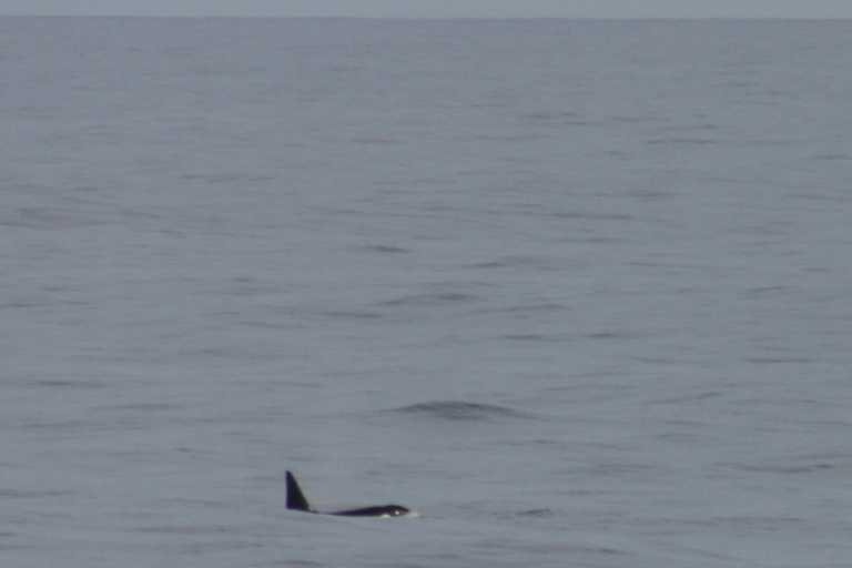 040101_D_Pa_043.JPG (12559 Byte)