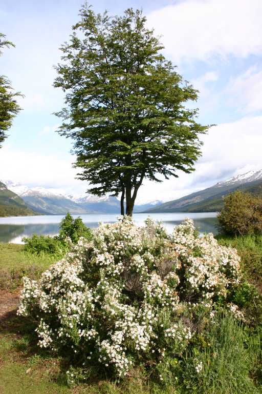 040102_Ushu_031.JPG (75993 Byte)