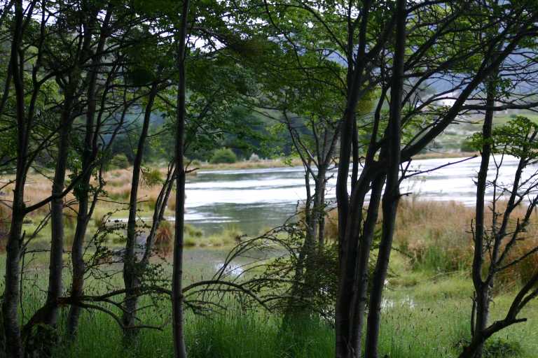 040102_Ushu_041.JPG (66989 Byte)