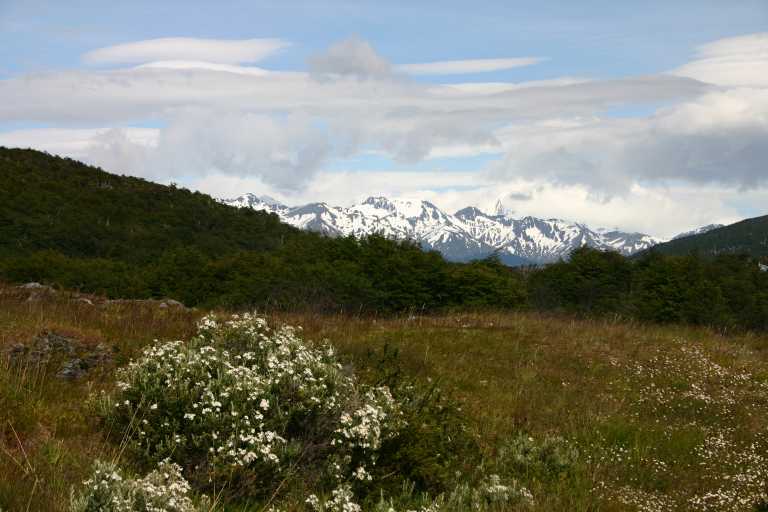 040102_Ushu_054.JPG (43541 Byte)