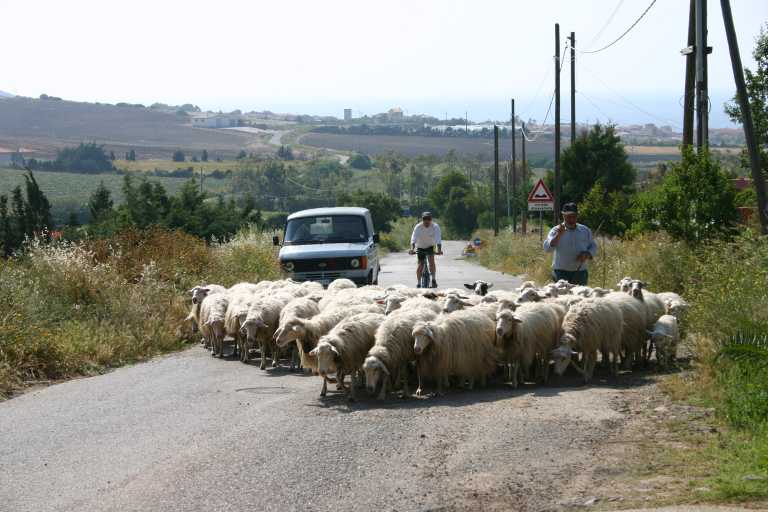 040605_SaAn_024.JPG (46703 Byte)