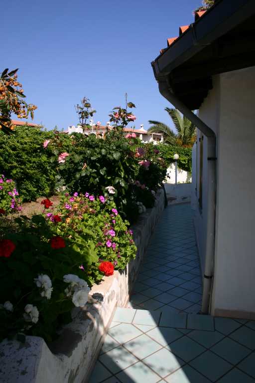 040606_PTSt_002.jpg (40438 Byte)