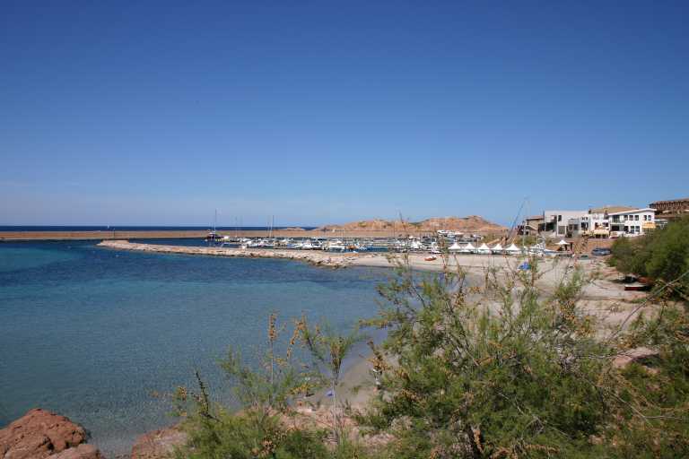 040607_ircp_004.jpg (35371 Byte)