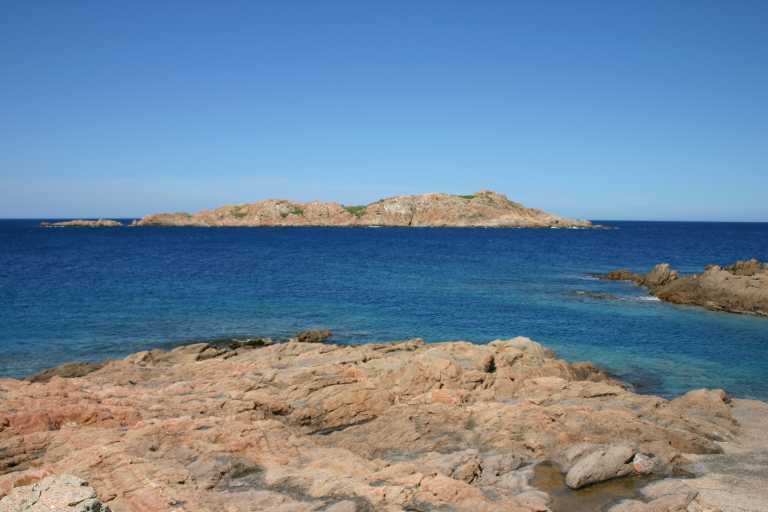 040607_ircp_005.jpg (33664 Byte)