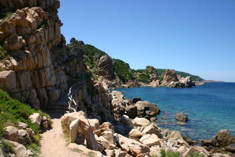 040607_ircp_007.jpg (48025 Byte)