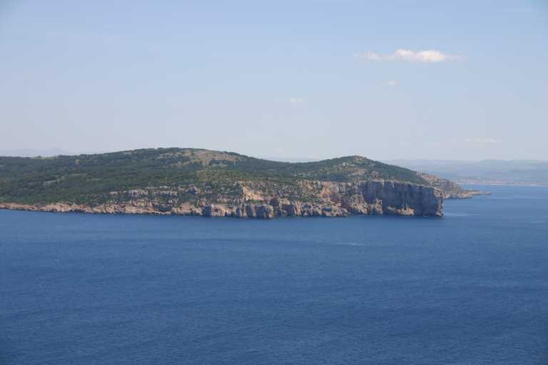 040608_ccai_001.jpg (19859 Byte)