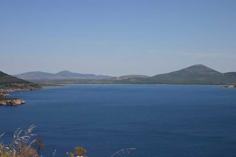 040608_ccai_002.jpg (15806 Byte)