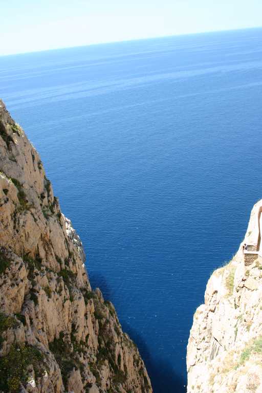 040608_ccai_003.jpg (40953 Byte)