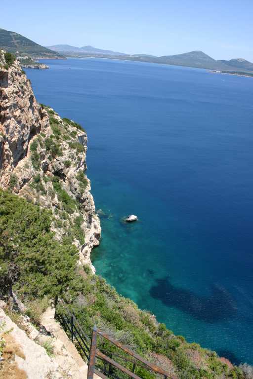 040608_ccai_004.jpg (43228 Byte)