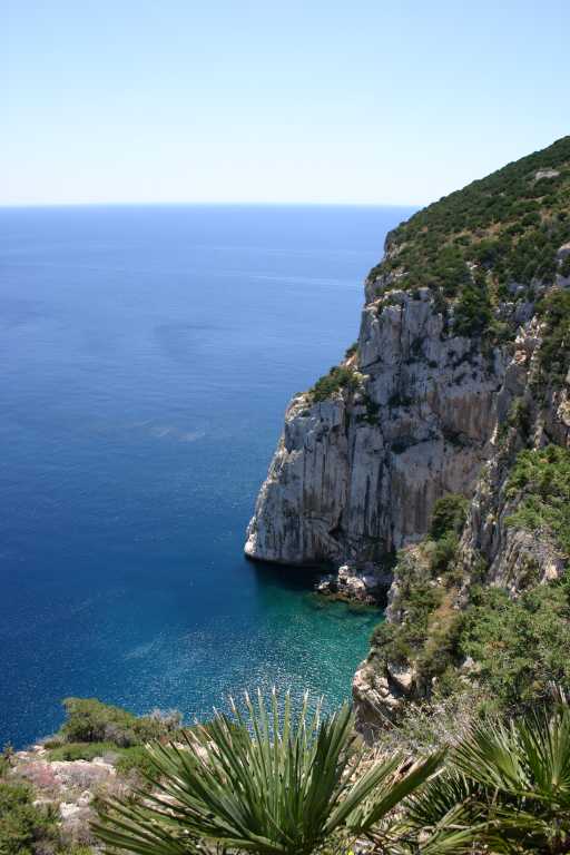 040608_ccai_005.jpg (43237 Byte)