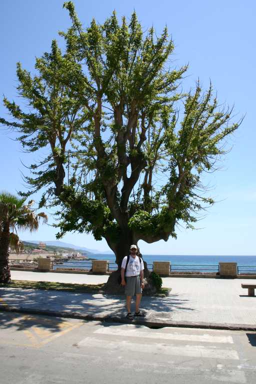 040608_ccai_007.jpg (60811 Byte)