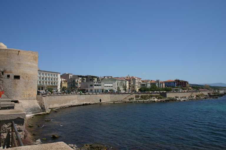 040608_ccai_008.jpg (30286 Byte)