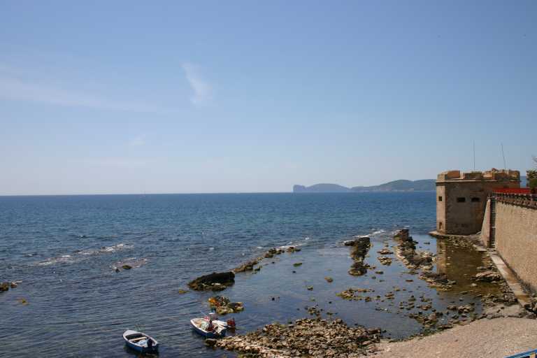 040608_ccai_009.jpg (31037 Byte)