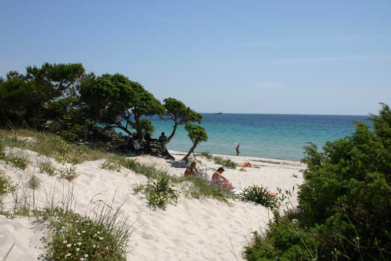 040608_ccai_010.jpg (43084 Byte)