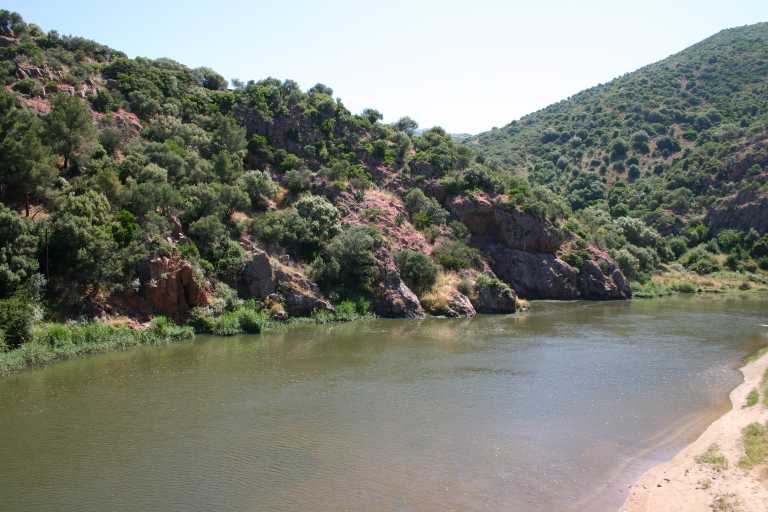 040609_oist_008.jpg (46785 Byte)