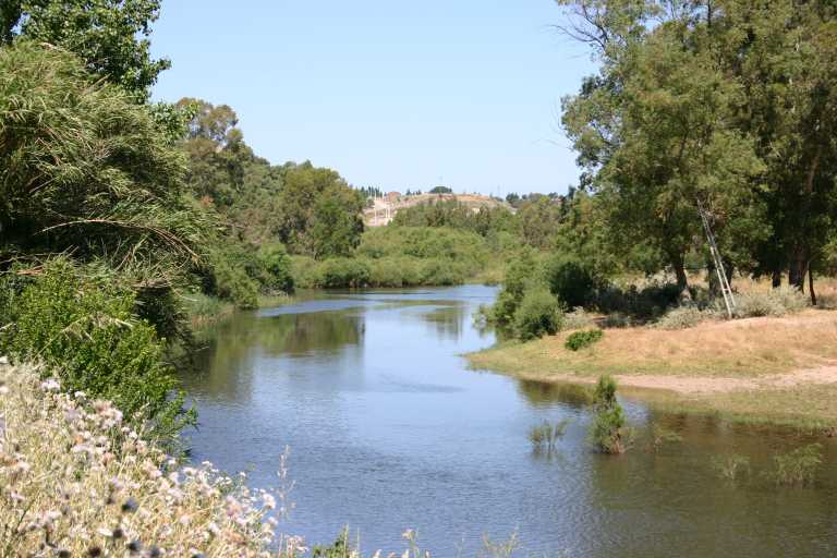 040609_oist_011.jpg (57318 Byte)