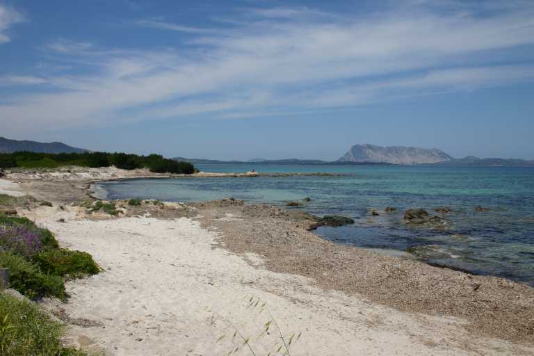 040609_oist_012.jpg (36360 Byte)