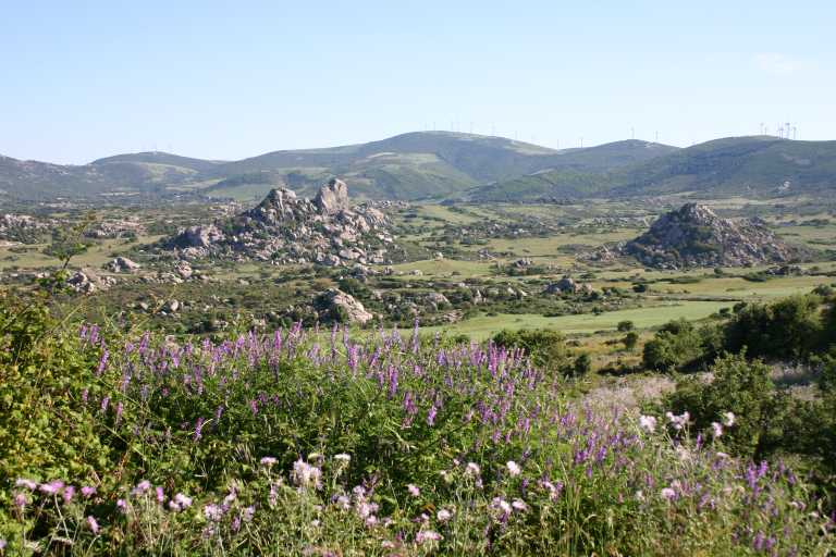 040609_oist_017.jpg (63988 Byte)