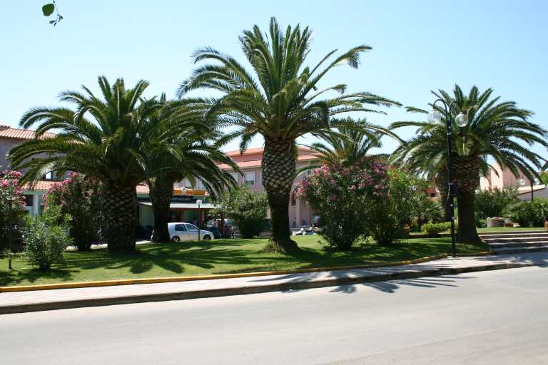 040610_VaBa_002.JPG (50643 Byte)