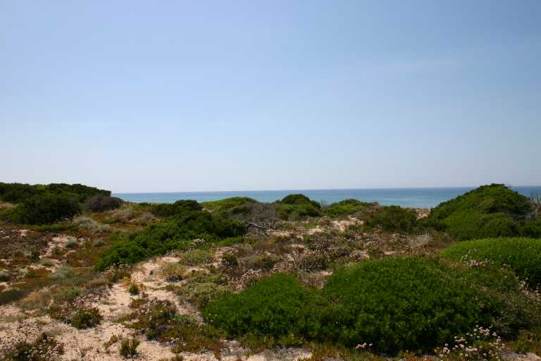 040610_VaBa_008.JPG (34743 Byte)