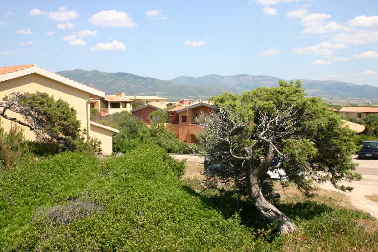 040610_VaBa_011.JPG (61709 Byte)