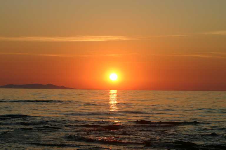 040610_VaBa_029.JPG (25858 Byte)