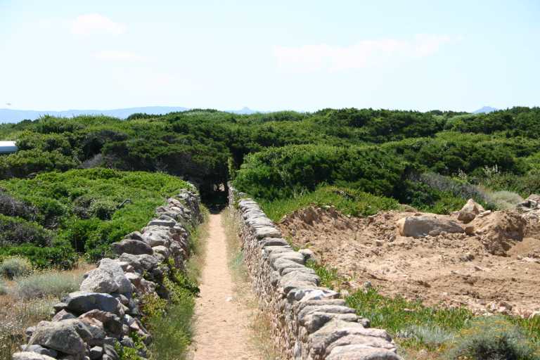 040611_PoBe_004.JPG (55092 Byte)