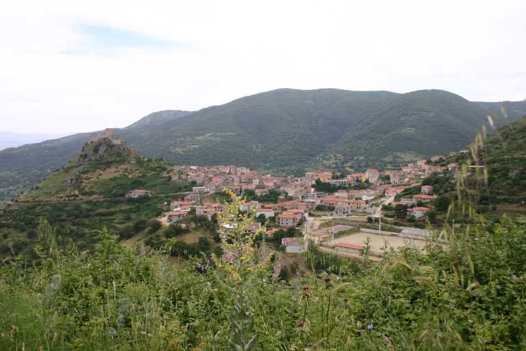 040613_BoBu_008.JPG (44711 Byte)