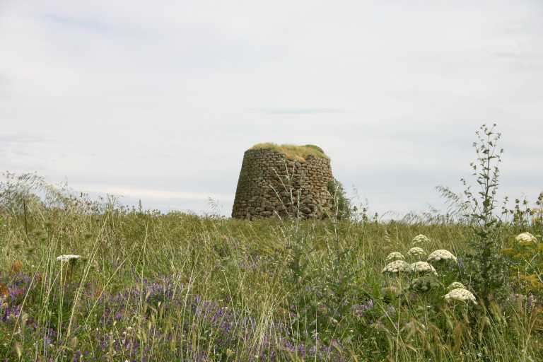 040613_BoBu_011.JPG (44445 Byte)