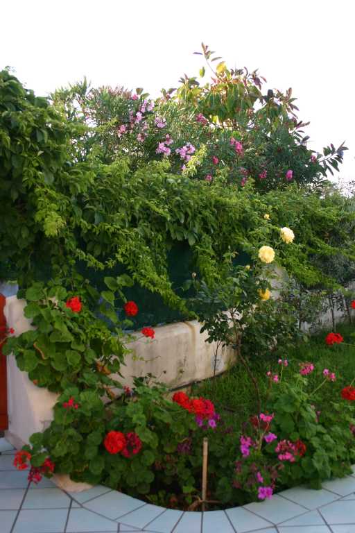 040614_VaSP_002.JPG (51574 Byte)