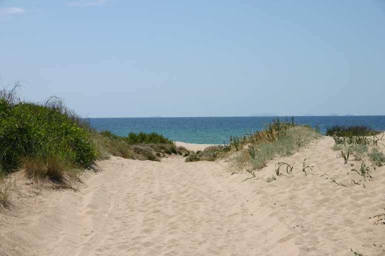 040614_VaSP_012.JPG (28854 Byte)