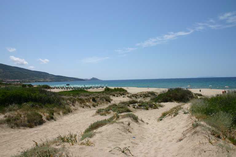 040614_VaSP_015.JPG (32191 Byte)