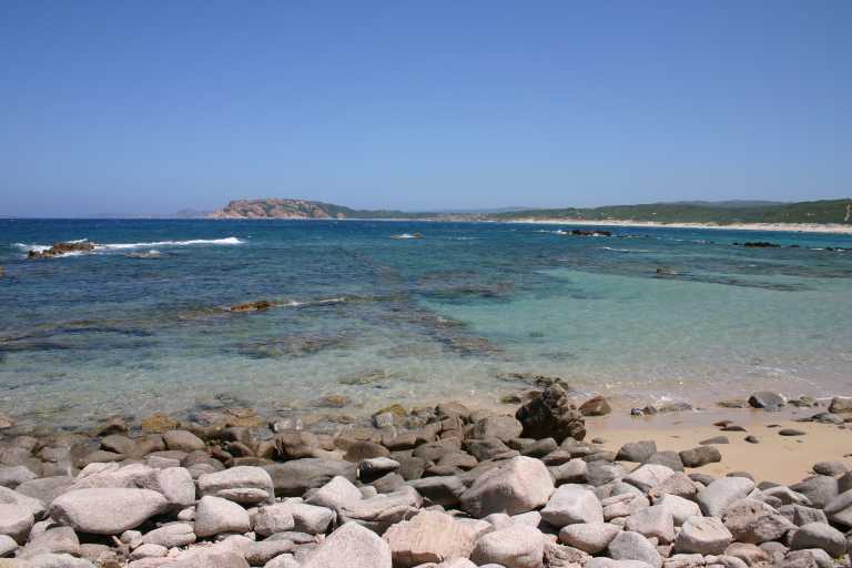 040618_SaRu_008.JPG (36946 Byte)