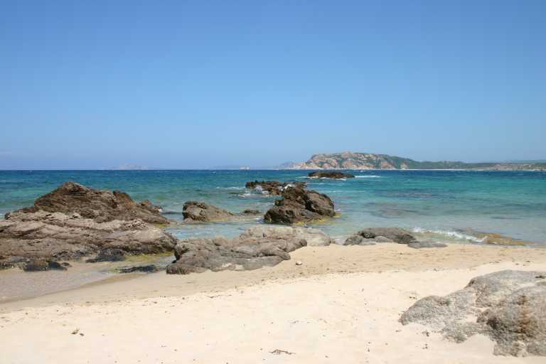 040618_SaRu_010.JPG (27170 Byte)