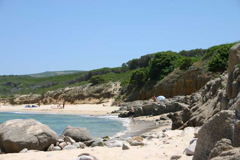 040618_SaRu_012.JPG (39088 Byte)