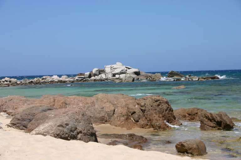 040618_SaRu_013.JPG (31457 Byte)