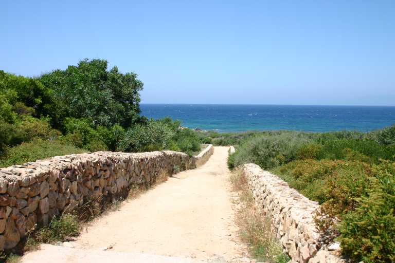 040618_SaRu_017.JPG (44617 Byte)