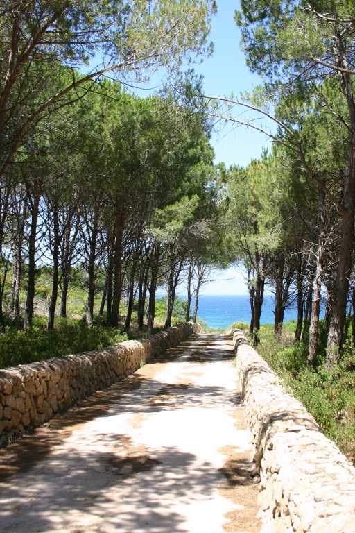 040618_SaRu_018.JPG (76533 Byte)