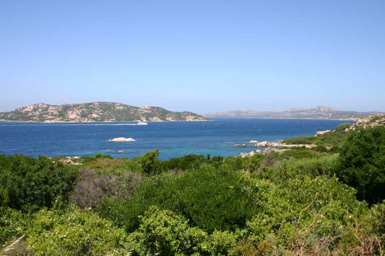 040618_SaRu_019.JPG (47976 Byte)