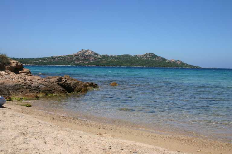 040618_SaRu_021.JPG (36782 Byte)