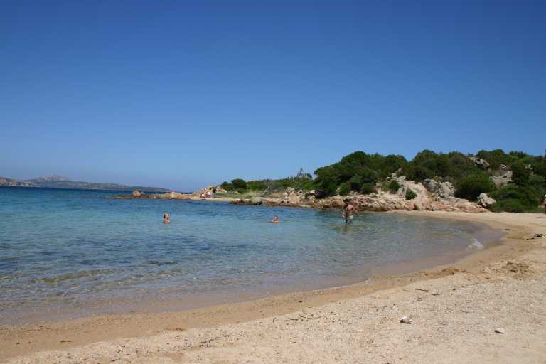 040618_SaRu_022.JPG (29341 Byte)