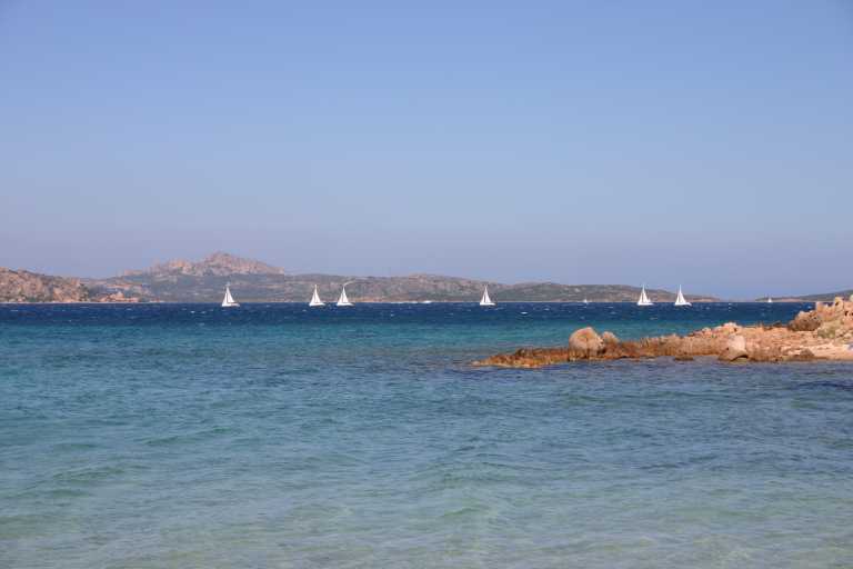 040618_SaRu_023.JPG (24714 Byte)