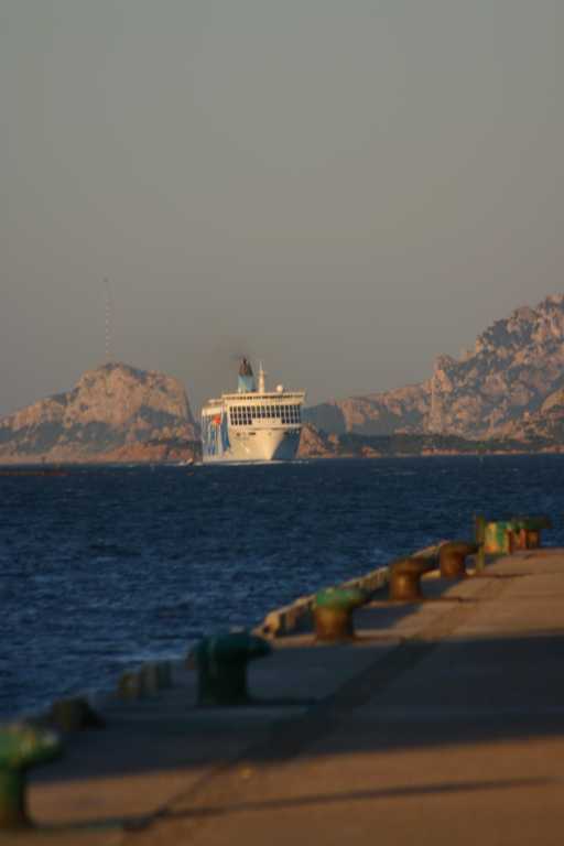 040618_SaRu_030.JPG (17255 Byte)