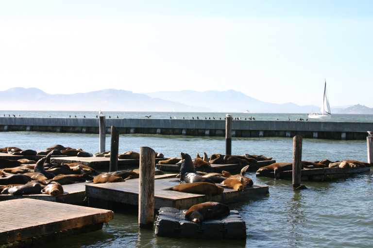 040906_SAFO_008.JPG (45045 Byte)